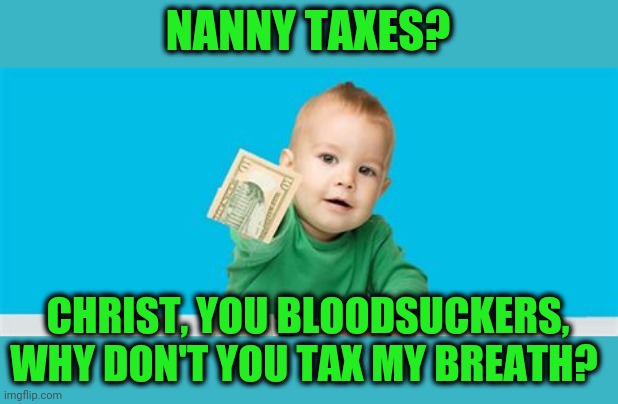 Not a dime goes towards the debt | NANNY TAXES? CHRIST, YOU BLOODSUCKERS, WHY DON'T YOU TAX MY BREATH? | image tagged in nanny taxes,america the crooked | made w/ Imgflip meme maker