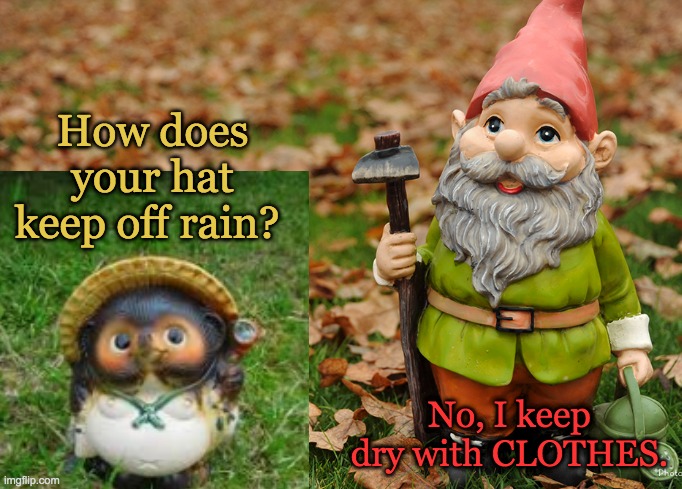 Lawn-troversy | How does your hat keep off rain? No, I keep dry with CLOTHES. | image tagged in tanuki,gnome,clothes | made w/ Imgflip meme maker