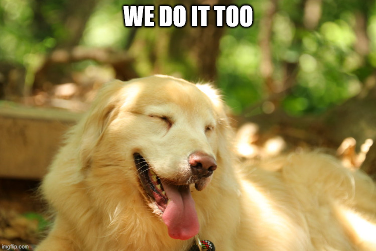 Dog laughing | WE DO IT TOO | image tagged in dog laughing | made w/ Imgflip meme maker