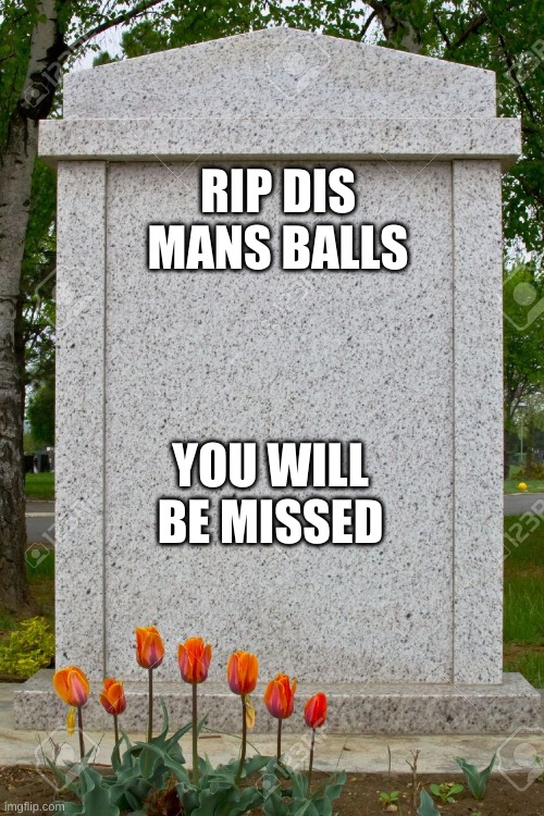 blank gravestone | RIP DIS MANS BALLS YOU WILL BE MISSED | image tagged in blank gravestone | made w/ Imgflip meme maker