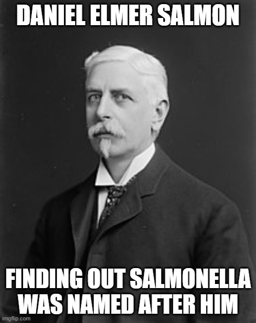 Fact. | DANIEL ELMER SALMON; FINDING OUT SALMONELLA WAS NAMED AFTER HIM | image tagged in funny memes | made w/ Imgflip meme maker