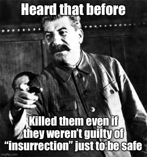 Stalin | Heard that before Killed them even if they weren’t guilty of “insurrection” just to be safe | image tagged in stalin | made w/ Imgflip meme maker