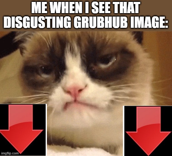 who made that a template? | ME WHEN I SEE THAT DISGUSTING GRUBHUB IMAGE: | image tagged in disapproving grumpy cat | made w/ Imgflip meme maker
