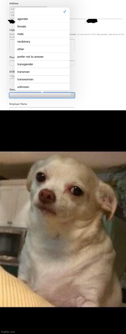 Chihuahua isn’t the only one concerned... | image tagged in concerned chihuahua,funny memes,lgbtqrs,concerned,what a terrible day to have eyes,i miss ten seconds ago | made w/ Imgflip meme maker