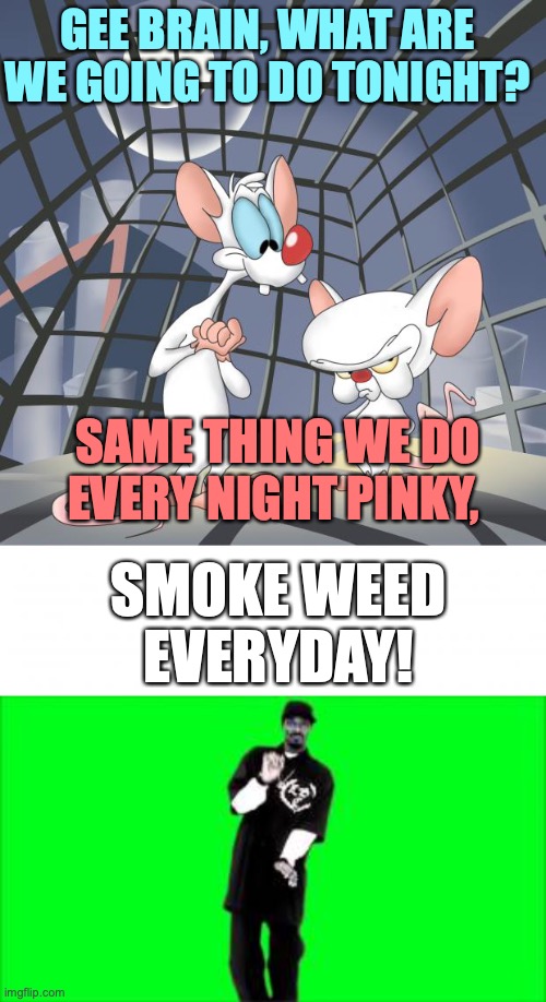 I don't know why I keep making these Pinky and the Brain Shitposts -_- | GEE BRAIN, WHAT ARE WE GOING TO DO TONIGHT? SAME THING WE DO EVERY NIGHT PINKY, SMOKE WEED EVERYDAY! | image tagged in pinky and the brain,smoke weed everyday,shitpost,just why | made w/ Imgflip meme maker