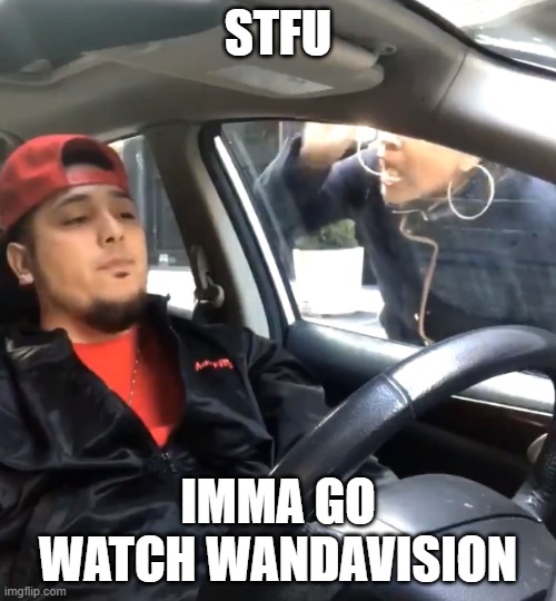 stfu im listening to | STFU; IMMA GO WATCH WANDAVISION | image tagged in stfu im listening to | made w/ Imgflip meme maker