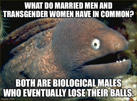 Marriage is a transition procedure, like transition surgery. | WHAT DO MARRIED MEN AND TRANSGENDER WOMEN HAVE IN COMMON? BOTH ARE BIOLOGICAL MALES WHO EVENTUALLY LOSE THEIR BALLS. | image tagged in memes,bad joke eel,transgender,men,balls,science | made w/ Imgflip meme maker