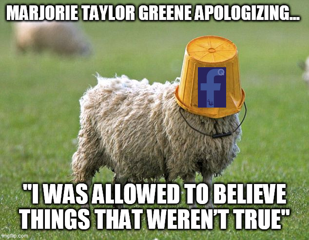 "It's not my fault I thought mainstream media was ran by Satan-worshiping-cannibals based on absolutely no evidence whatsoever!" | MARJORIE TAYLOR GREENE APOLOGIZING... "I WAS ALLOWED TO BELIEVE THINGS THAT WEREN’T TRUE" | image tagged in funny | made w/ Imgflip meme maker