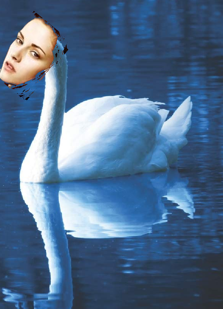 High Quality Bella swan Blank Meme Template
