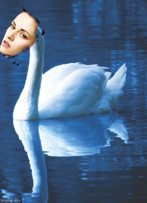 Bella swan | image tagged in bella swan | made w/ Imgflip meme maker