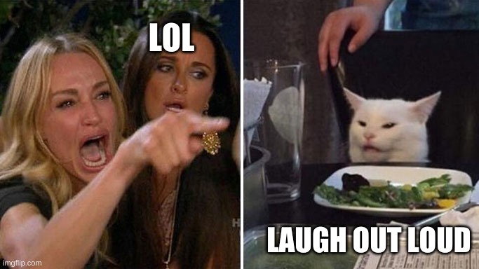 Angry lady cat | LOL LAUGH OUT LOUD | image tagged in angry lady cat | made w/ Imgflip meme maker