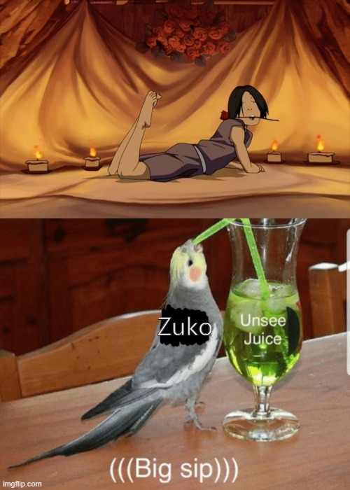 Zuko Unsee Juice | Zuko | image tagged in unsee juice,avatar the last airbender,avatar | made w/ Imgflip meme maker
