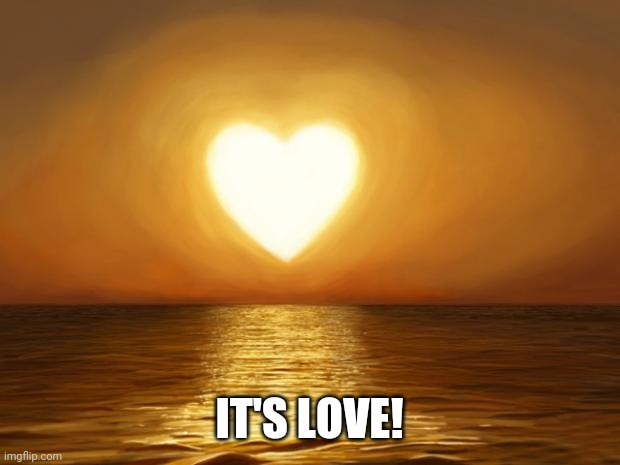 Love | IT'S LOVE! | image tagged in love | made w/ Imgflip meme maker