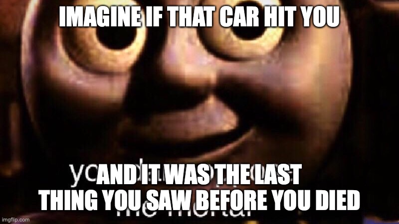 You dare oppose me mortal | IMAGINE IF THAT CAR HIT YOU AND IT WAS THE LAST THING YOU SAW BEFORE YOU DIED | image tagged in you dare oppose me mortal | made w/ Imgflip meme maker