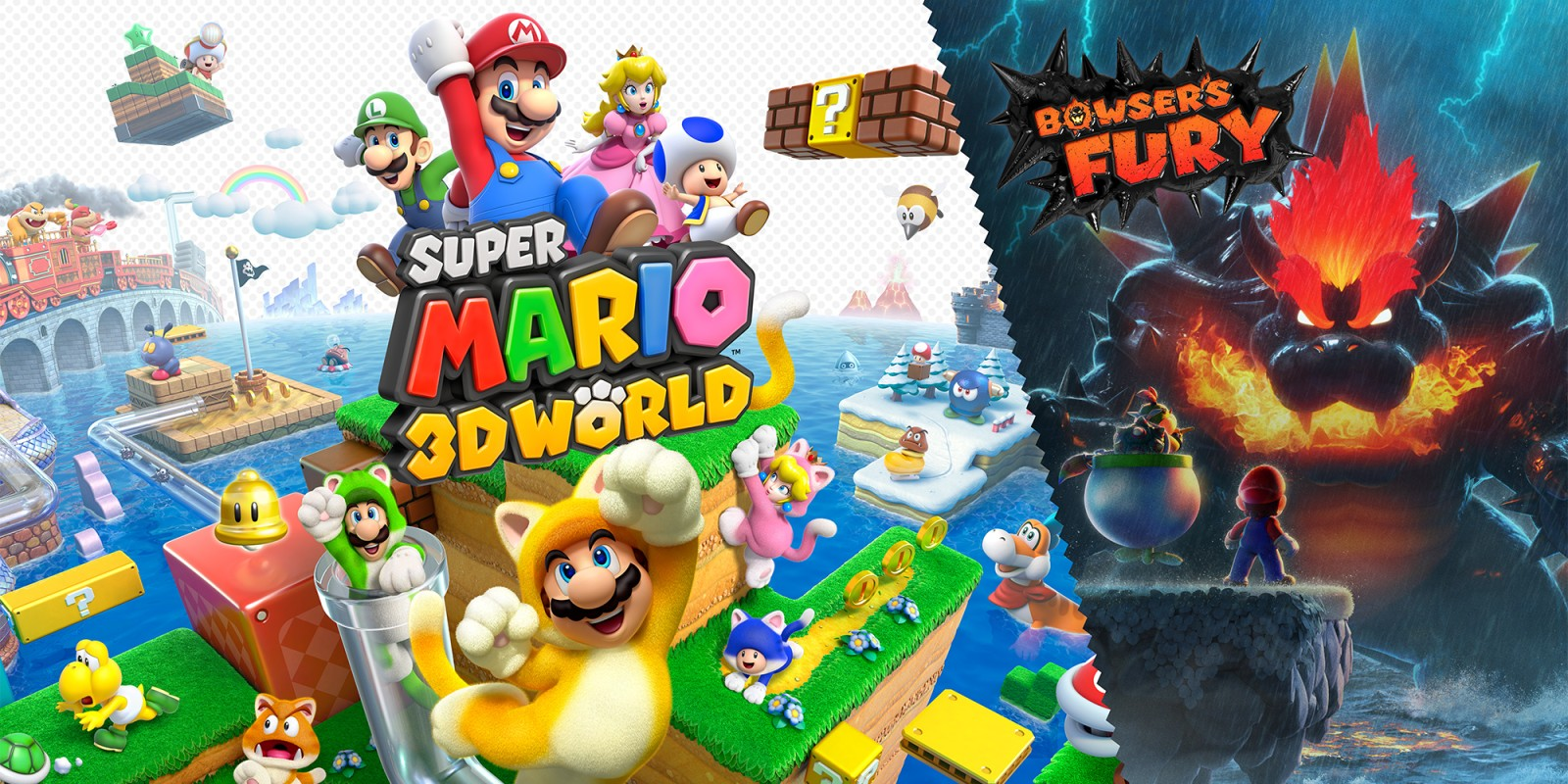 High Quality Super Mario 3D World + Bowser's Fury Blank Meme Template