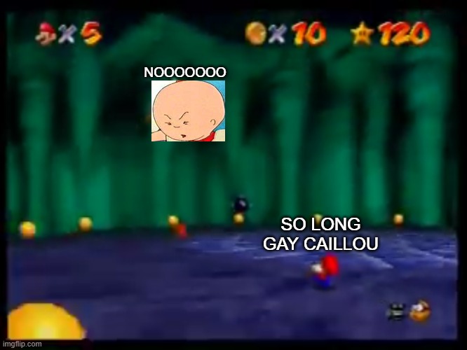 So long Gay Bowser | SO LONG GAY CAILLOU NOOOOOOO | image tagged in so long gay bowser | made w/ Imgflip meme maker