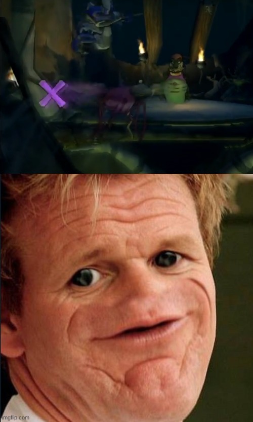 My first meme with Gordon Ramsay featured. Also wat? | image tagged in lamb sauce,sly cooper | made w/ Imgflip meme maker