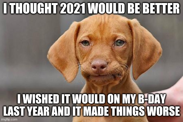 I am sorry for this guys I didn't mean to jinx us all | I THOUGHT 2021 WOULD BE BETTER; I WISHED IT WOULD ON MY B-DAY LAST YEAR AND IT MADE THINGS WORSE | image tagged in dissapointed puppy | made w/ Imgflip meme maker