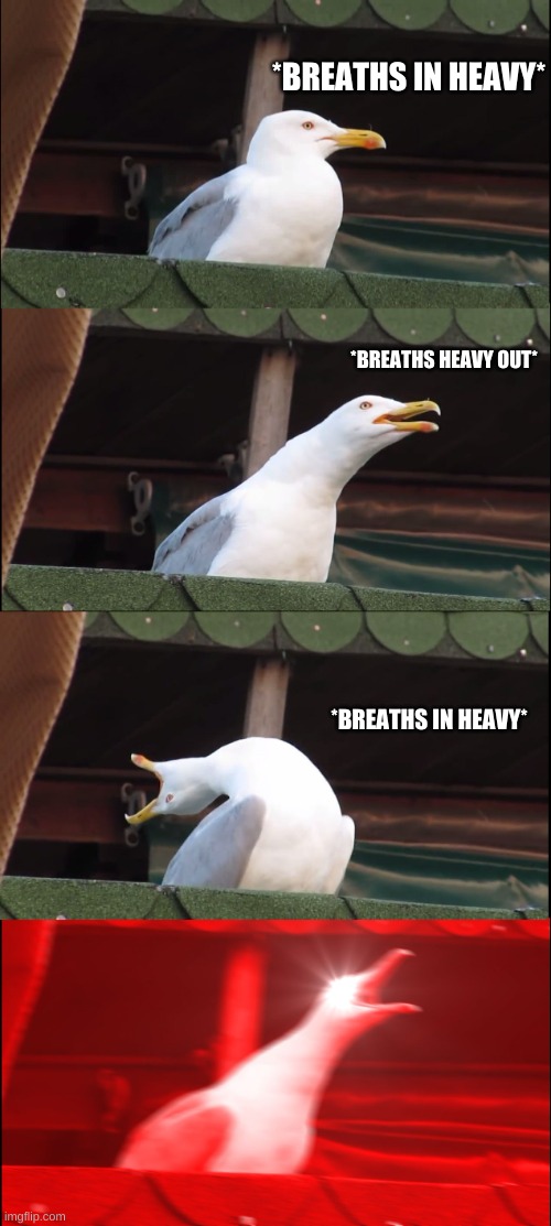 Inhaling Seagull Meme | *BREATHS IN HEAVY* *BREATHS HEAVY OUT* *BREATHS IN HEAVY* | image tagged in memes,inhaling seagull | made w/ Imgflip meme maker