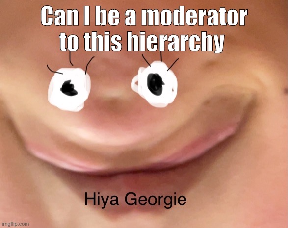 Can I be a moderator to this hierarchy | made w/ Imgflip meme maker
