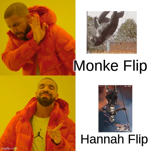 Old meme i made | Monke Flip; Hannah Flip | image tagged in memes,drake hotline bling | made w/ Imgflip meme maker