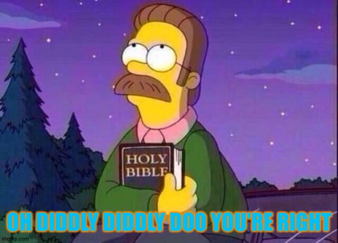Ned Flanders and Bible | OH DIDDLY DIDDLY DOO YOU'RE RIGHT | image tagged in ned flanders and bible | made w/ Imgflip meme maker