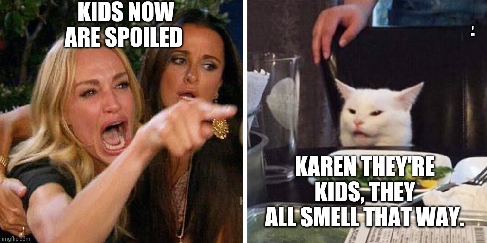 Smudge the cat | KIDS NOW ARE SPOILED; J M; KAREN THEY'RE KIDS, THEY ALL SMELL THAT WAY. | image tagged in smudge the cat | made w/ Imgflip meme maker