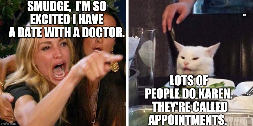 Smudge the cat | SMUDGE,  I'M SO EXCITED I HAVE A DATE WITH A DOCTOR. J M; LOTS OF PEOPLE DO KAREN.  THEY'RE CALLED APPOINTMENTS. | image tagged in smudge the cat | made w/ Imgflip meme maker
