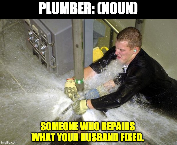 Plumber | PLUMBER: (NOUN); SOMEONE WHO REPAIRS WHAT YOUR HUSBAND FIXED. | image tagged in plumber | made w/ Imgflip meme maker