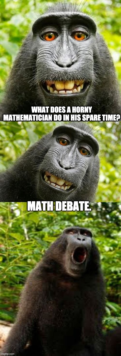 I was debating whether to post this one or not. | WHAT DOES A HORNY MATHEMATICIAN DO IN HIS SPARE TIME? MATH DEBATE. | image tagged in bad pun monkey | made w/ Imgflip meme maker