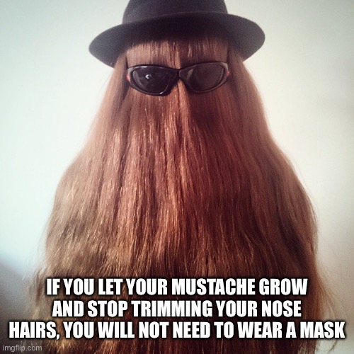 Natural hair mask | IF YOU LET YOUR MUSTACHE GROW AND STOP TRIMMING YOUR NOSE HAIRS, YOU WILL NOT NEED TO WEAR A MASK | image tagged in cousin it | made w/ Imgflip meme maker