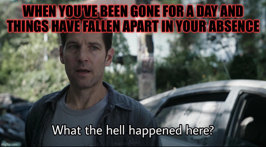 Confused ant-man | WHEN YOU’VE BEEN GONE FOR A DAY AND THINGS HAVE FALLEN APART IN YOUR ABSENCE | image tagged in confused ant-man | made w/ Imgflip meme maker
