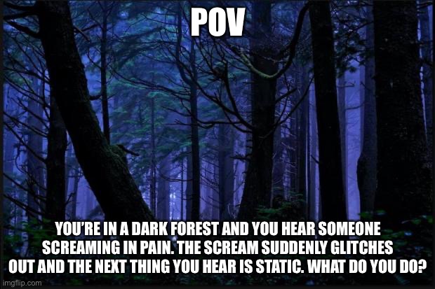 horror rp tiem | POV; YOU’RE IN A DARK FOREST AND YOU HEAR SOMEONE SCREAMING IN PAIN. THE SCREAM SUDDENLY GLITCHES OUT AND THE NEXT THING YOU HEAR IS STATIC. WHAT DO YOU DO? | image tagged in dark forest | made w/ Imgflip meme maker