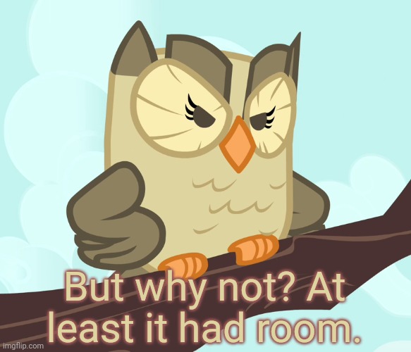 Scowled Owlowiscious (MLP) | But why not? At least it had room. | image tagged in scowled owlowiscious mlp | made w/ Imgflip meme maker