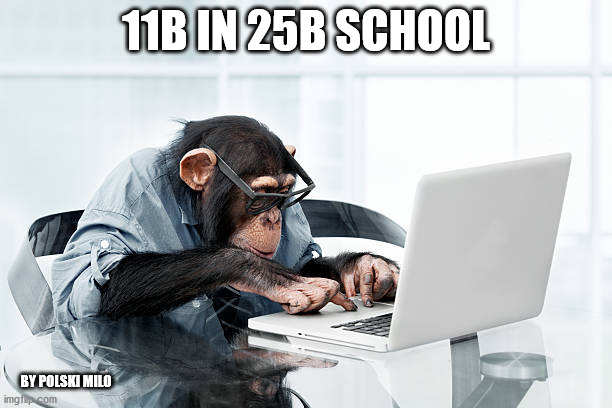 11B's | 11B IN 25B SCHOOL; BY POLSKI MILO | image tagged in military humor | made w/ Imgflip meme maker
