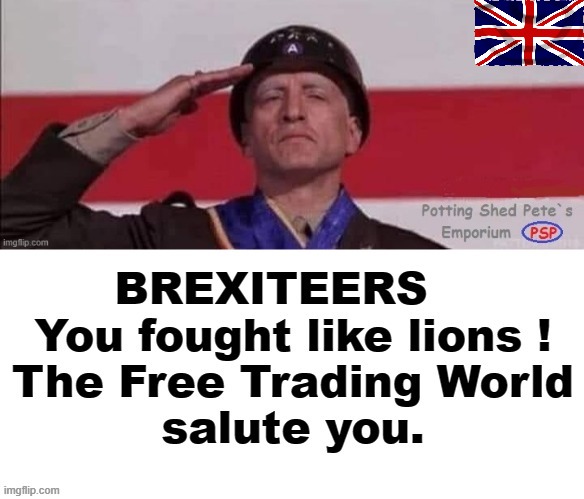 Brexiteers - you fought like lions. | image tagged in patton | made w/ Imgflip meme maker