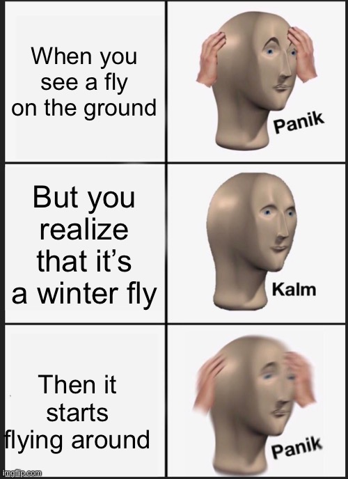 Panik Kalm Panik | When you see a fly on the ground; But you realize that it’s a winter fly; Then it starts flying around | image tagged in memes,panik kalm panik | made w/ Imgflip meme maker