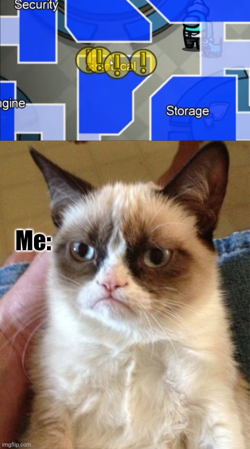Among us memes until airship is realeased: day one | Me: | image tagged in electrical task,memes,grumpy cat | made w/ Imgflip meme maker