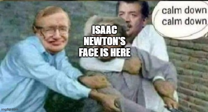 Calm down Albert Einstein | ISAAC NEWTON'S FACE IS HERE | image tagged in calm down albert einstein | made w/ Imgflip meme maker