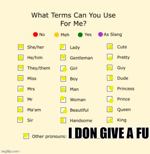 This is the amount of care I have for my pronouns xD | I DON GIVE A FU | image tagged in i don't care,lgbt,challenge,everyone else was doing it | made w/ Imgflip meme maker