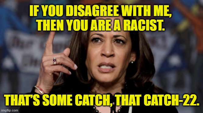 Catch 22 | IF YOU DISAGREE WITH ME,
THEN YOU ARE A RACIST. THAT’S SOME CATCH, THAT CATCH-22. | image tagged in racist | made w/ Imgflip meme maker