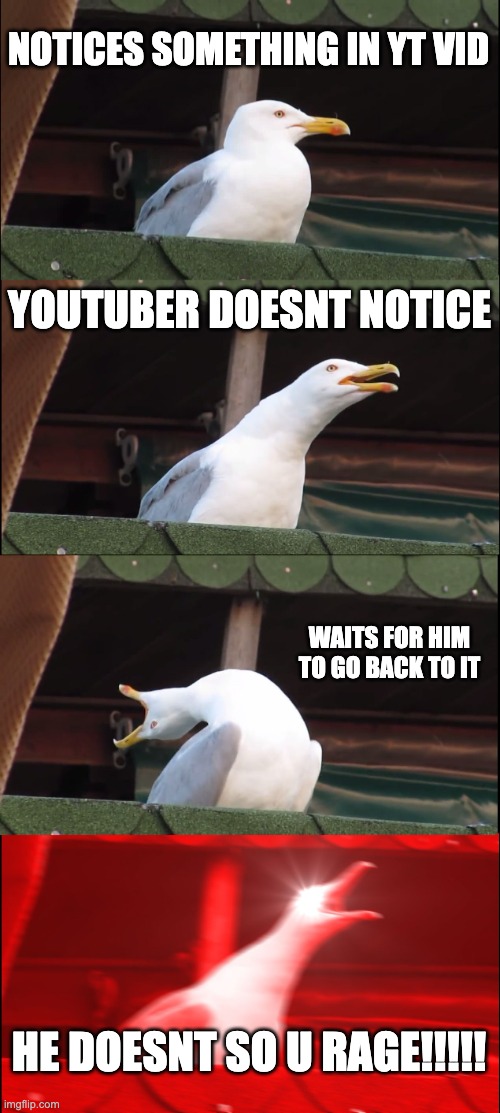 just happened to me so decided to make a meme to calm down please comment i like the community on her | NOTICES SOMETHING IN YT VID; YOUTUBER DOESNT NOTICE; WAITS FOR HIM TO GO BACK TO IT; HE DOESNT SO U RAGE!!!!! | image tagged in memes,inhaling seagull | made w/ Imgflip meme maker