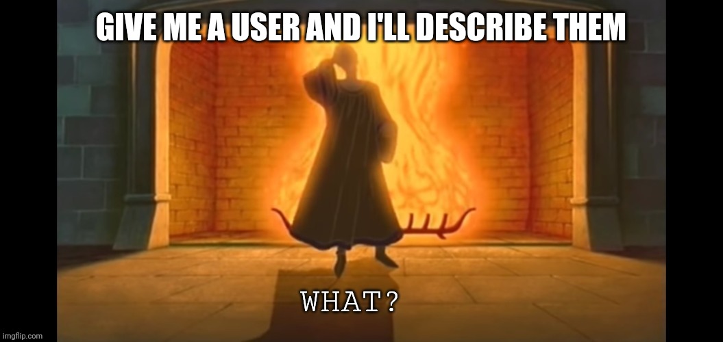 Trend time | GIVE ME A USER AND I'LL DESCRIBE THEM | image tagged in what | made w/ Imgflip meme maker