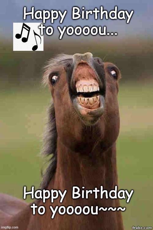 Birthday horse | Happy Birthday to yoooou... Happy Birthday to yoooou~~~ | image tagged in horse face | made w/ Imgflip meme maker