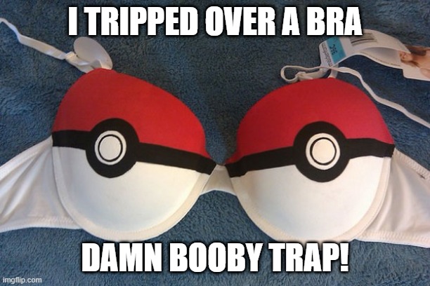 Caught | I TRIPPED OVER A BRA; DAMN BOOBY TRAP! | image tagged in pokemon bra | made w/ Imgflip meme maker