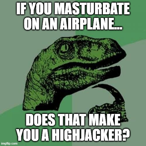 Get Off (on) My Damn Plane | IF YOU MASTURBATE ON AN AIRPLANE... DOES THAT MAKE YOU A HIGHJACKER? | image tagged in memes,philosoraptor | made w/ Imgflip meme maker
