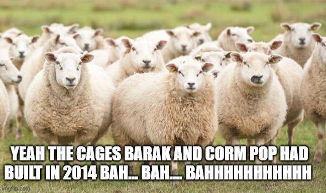 YEAH THE CAGES BARAK AND CORM POP HAD BUILT IN 2014 BAH... BAH.... BAHHHHHHHHHHH | made w/ Imgflip meme maker