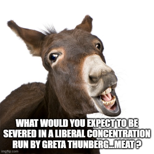 WHAT WOULD YOU EXPECT TO BE SEVERED IN A LIBERAL CONCENTRATION RUN BY GRETA THUNBERG...MEAT ? | made w/ Imgflip meme maker