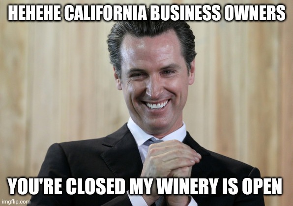 Scheming Gavin Newsom  | HEHEHE CALIFORNIA BUSINESS OWNERS; YOU'RE CLOSED MY WINERY IS OPEN | image tagged in scheming gavin newsom | made w/ Imgflip meme maker