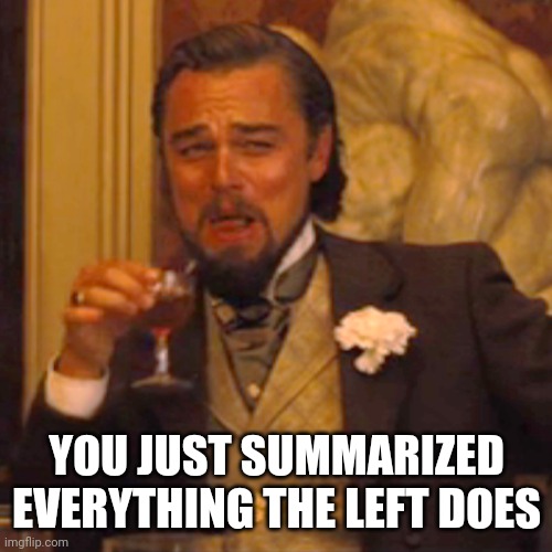 Laughing Leo Meme | YOU JUST SUMMARIZED EVERYTHING THE LEFT DOES | image tagged in memes,laughing leo | made w/ Imgflip meme maker